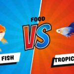 What is the Difference Between Tropical and Goldfish Food