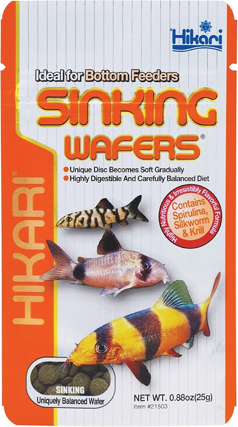 Hikari Fish Food: Boosting Aquarium Health & Vibrant Colors